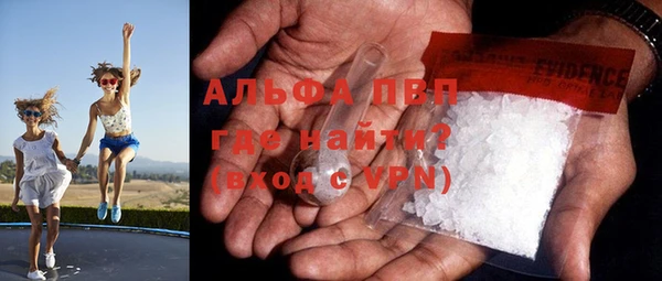 стафф Аркадак