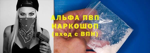 стафф Аркадак