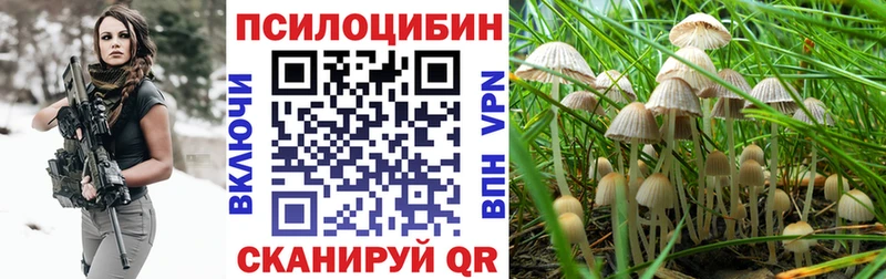 Галлюциногенные грибы мицелий  купить наркотики цена  Пролетарск 